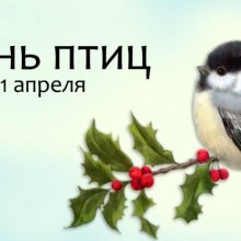 Красивые картинки с Международным днем птиц 2019 (19 фото)
