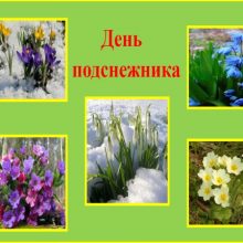 Красивые картинки с Днем подснежника 2019 (16 фото)