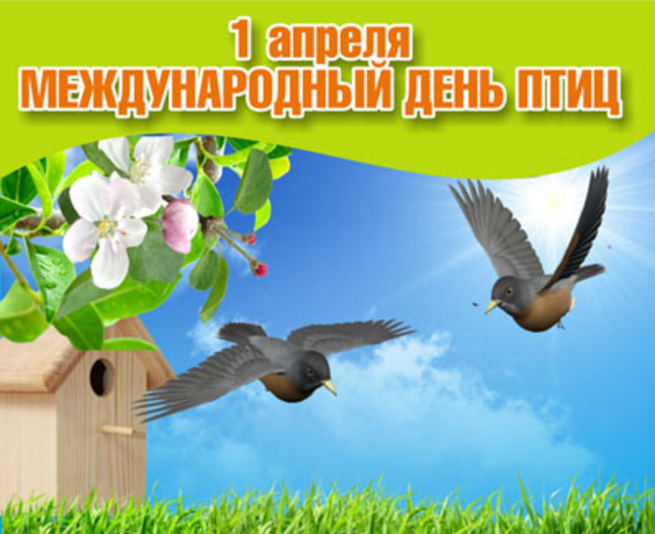 1 апреля день птиц картинки для детей