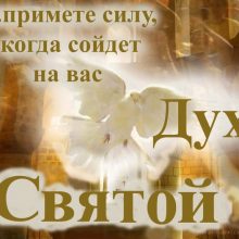 Красивые картинки Духов день (8 фото)