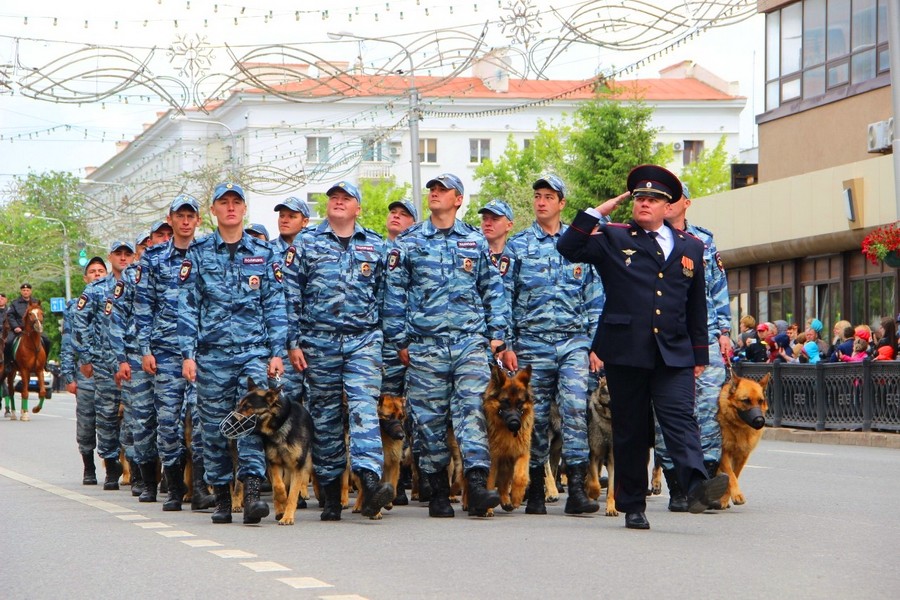 С днем пограничного кинолога картинки