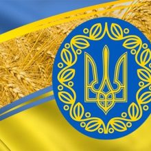 Красивые картинки с Днем Конституции Украины 2019 (10 фото)