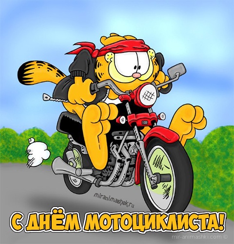 Как обставить маленькую комнату новые фото Как обставить маленькую комнату новые фото