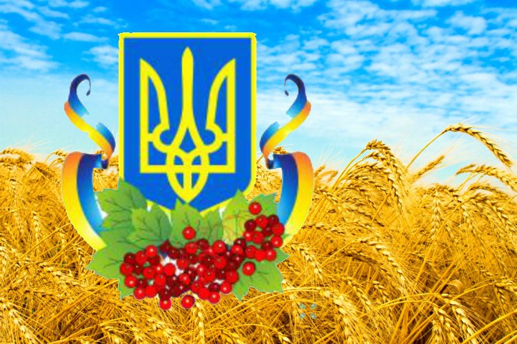Какой символ украины. Символ Украины. Украинские символы. Национальный символ Украины.