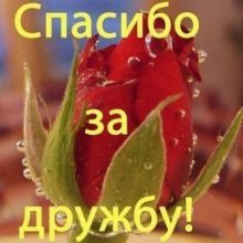 Красивые картинки с Международным днем дружбы 2019 (14 фото)