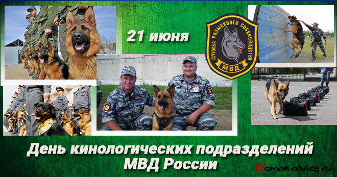 Открытка свадьбу, открытки день кинолога 2019