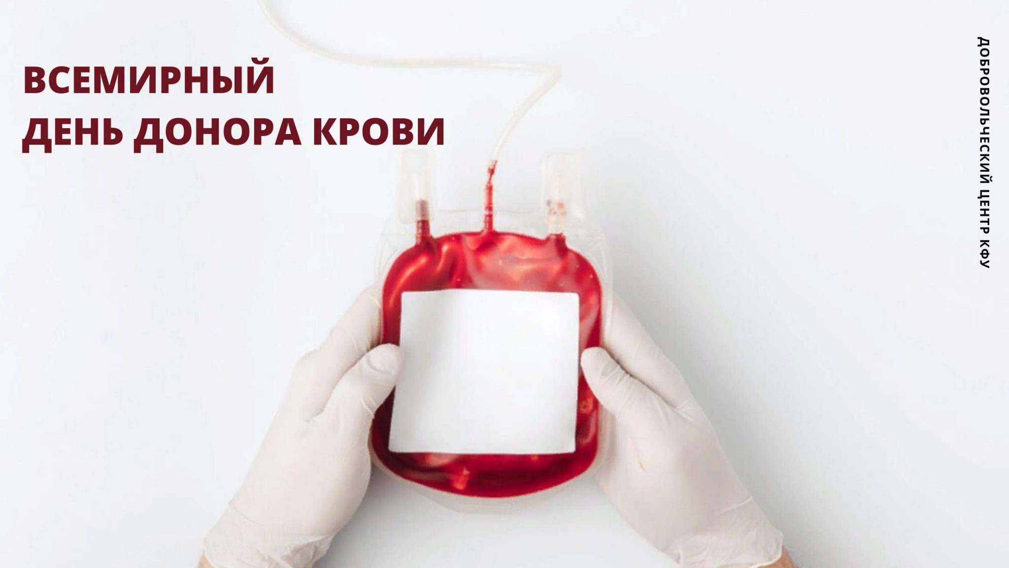 Всемирный день донора крови фото