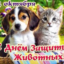 Красивые картинки с Всемирным днем животных 2020 (22 фото)
