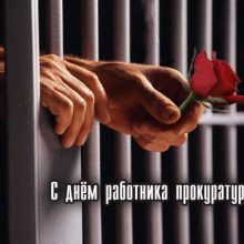 Красивые картинки с Днем работников прокуратуры Украины 2020 (11 фото)