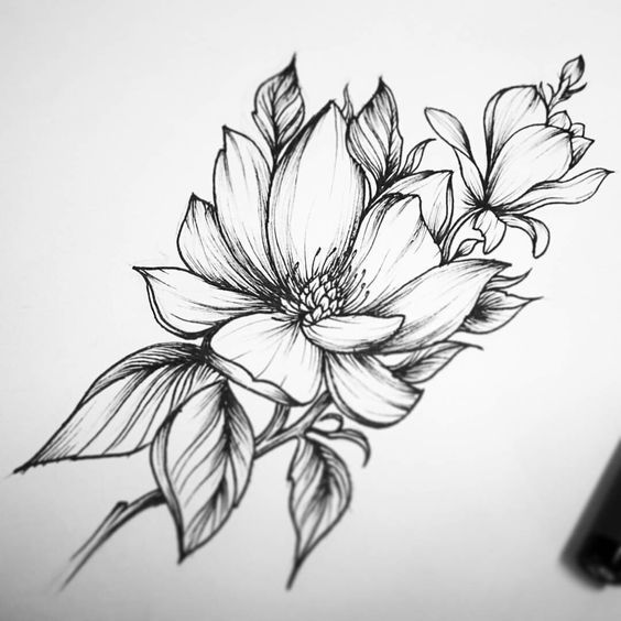 Фото по запросу Цветы рисунок карандашом