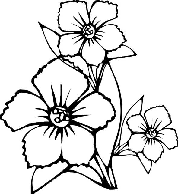 Красивые цветы рисунки - 88 фото - смотреть онлайн