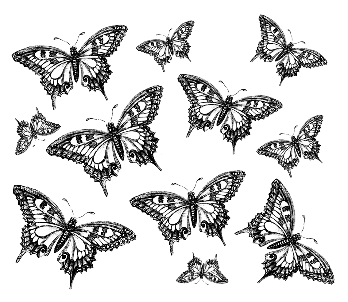Распечатки бабочек черно. Бабочка рисунок. Бабочка черно белая. Красивые бабочки картинки для печати. Бабочки рисунок черно белый.