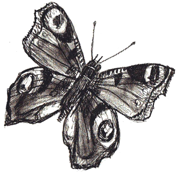 butterfly 6 Домострой