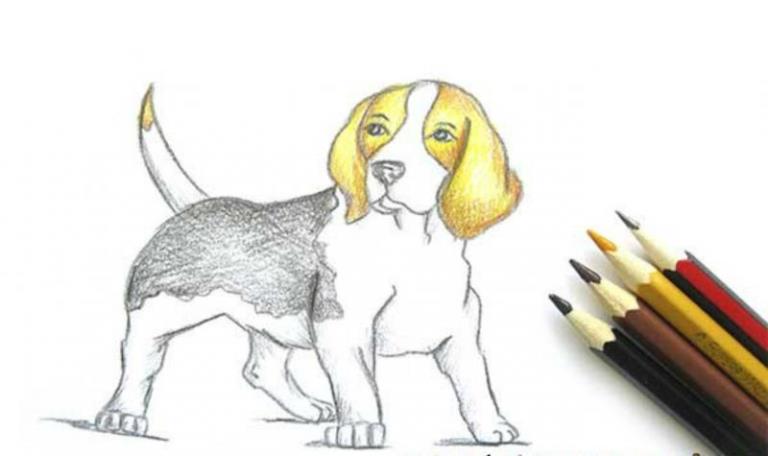 Агрессивная собака рисунок