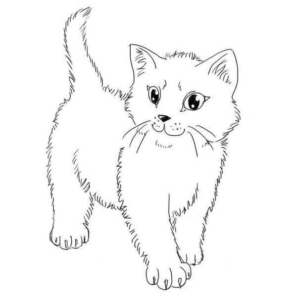 рисунок сиамской кошки для детей