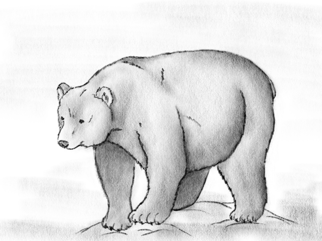 Рисовать красками медведя