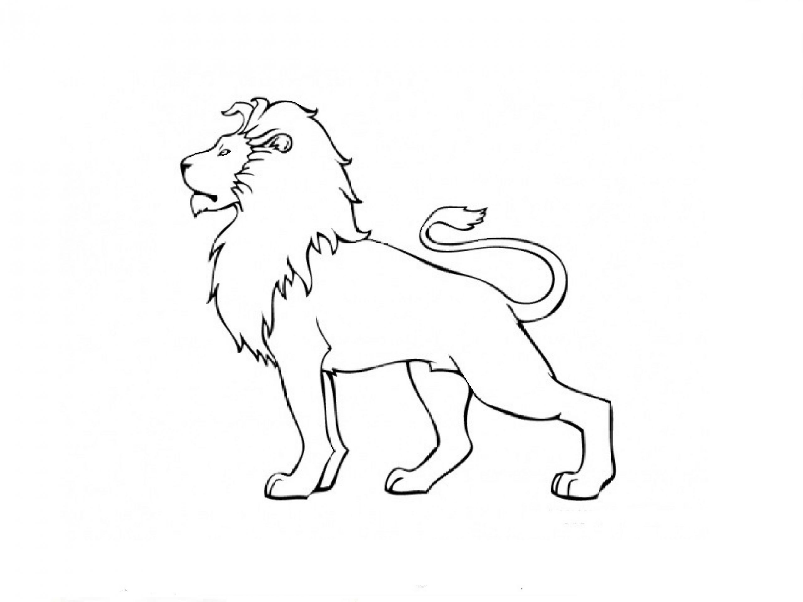 Рисунок Льва карандашом для срисовки