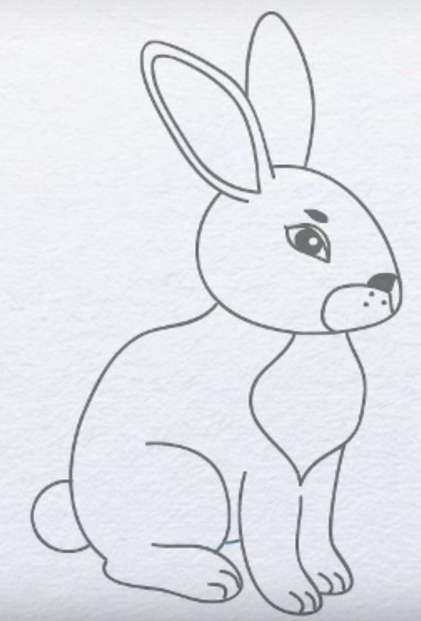 картинки для срисовки карандашом животные поэтапно