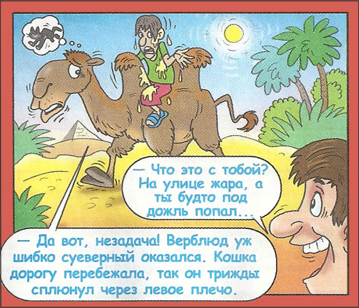 Картинки смешные анекдоты про животных