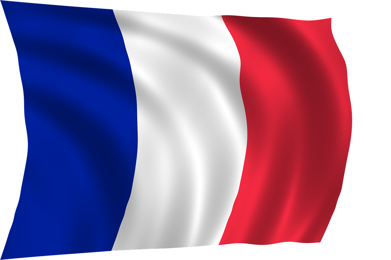 Как выглядит флаг франции картинки
