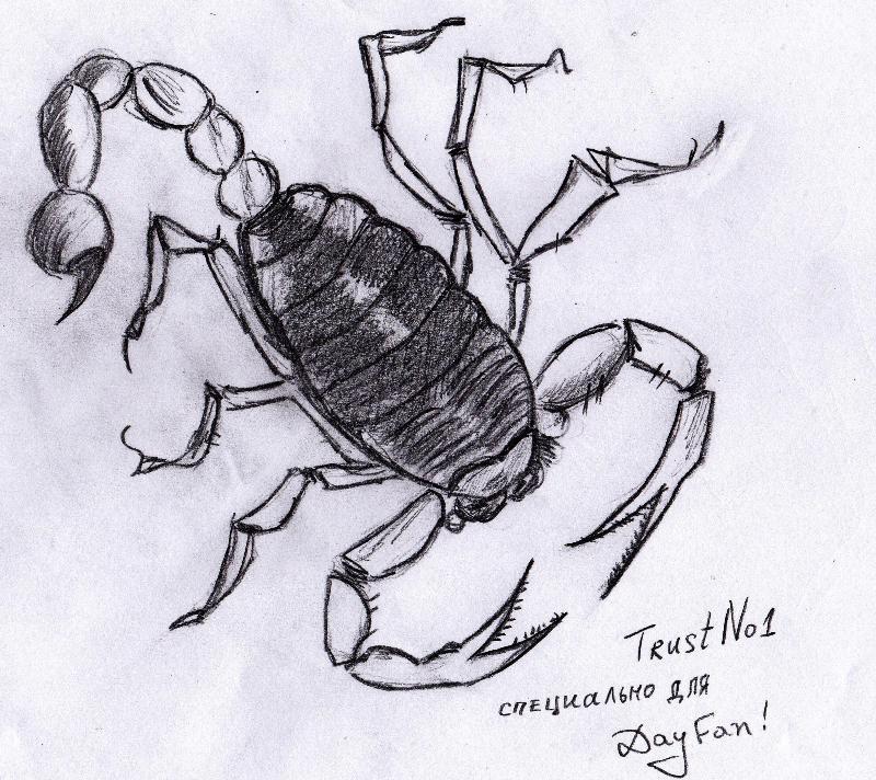 Рисунок зз скорпион