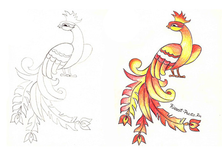 Рисунки карандашом жар птица (25 фото) 🔥 Прикольные картинки и юмор