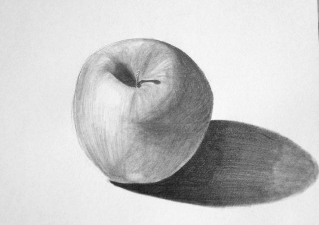 Яблоко антоновка рисунок