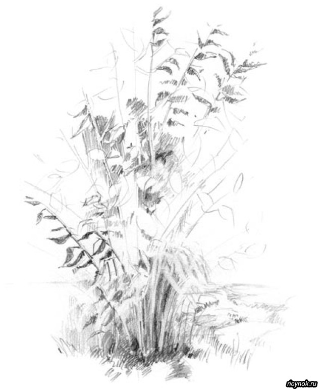 Рисунок на траве дрова