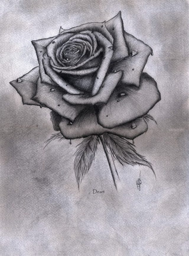 Рисунки для срисовки букет роз (31 фото) 🔥 Прикольные картинки и юмор
