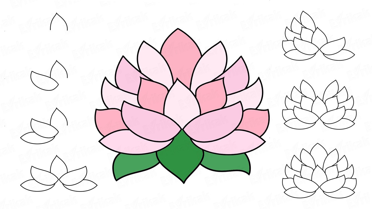 Как нарисовать цветок лотоса