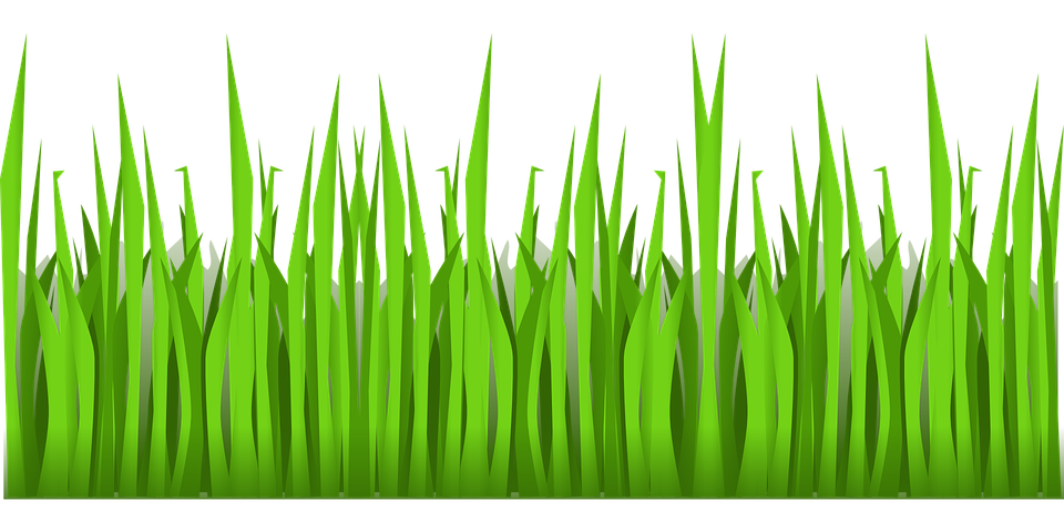 Рисунок на траве дрова
