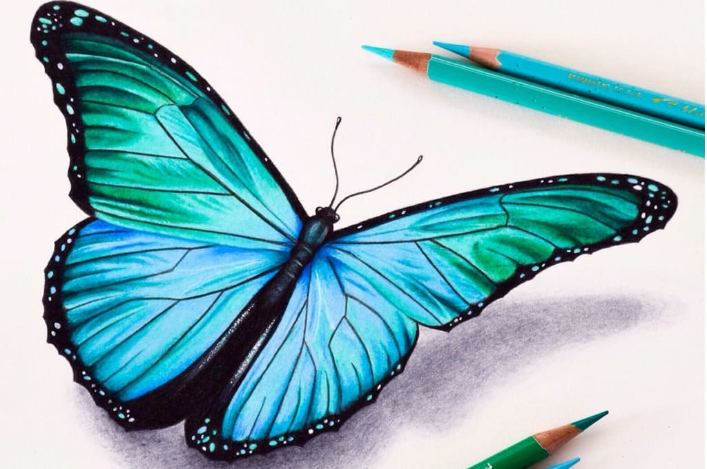 Рисунки карандашом для детей бабочки (36 фото) 🔥 Прикольные картинки и юмо...