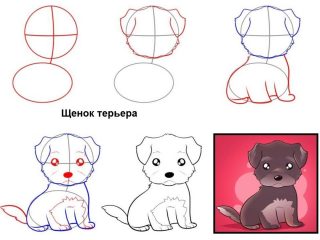 Бигль как нарисовать