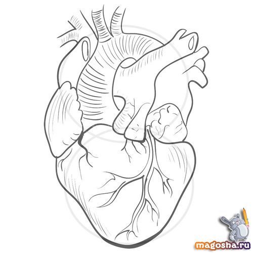 Рисунок сердца с милой цитатой