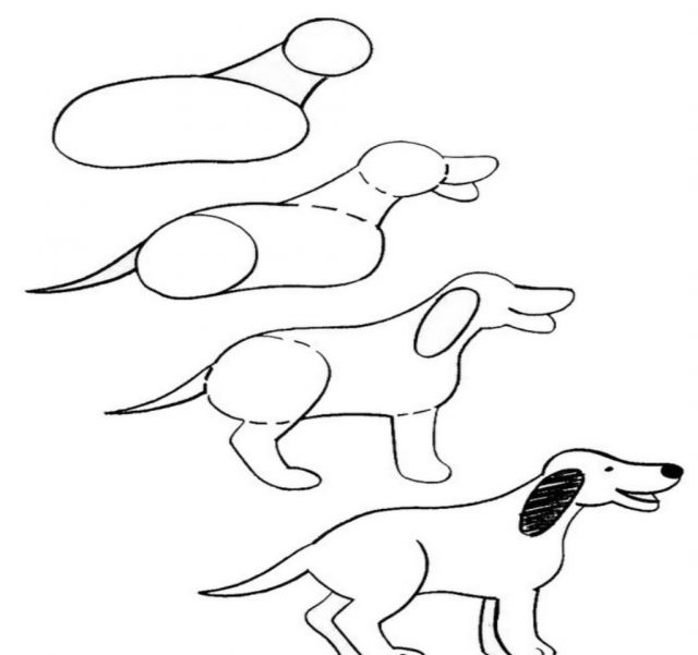 Рисунки собаки карандашом для детей поэтапно (58 фото) 🔥 Прикольные  картинки и юмор