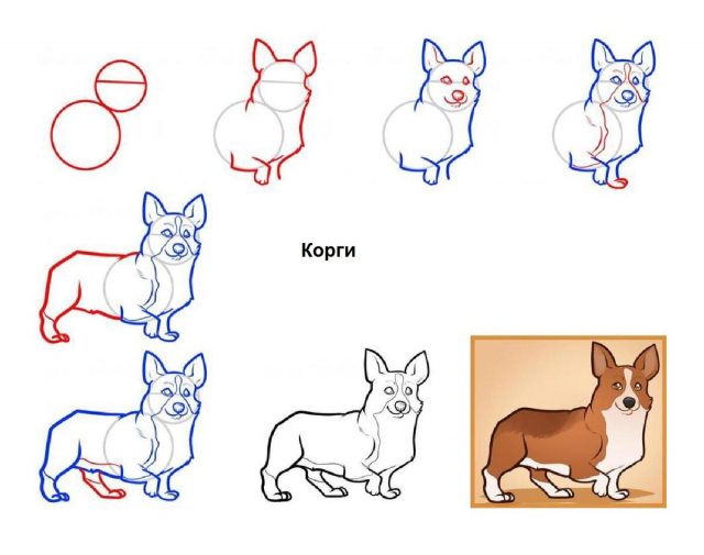 Собаки картинки срисовать