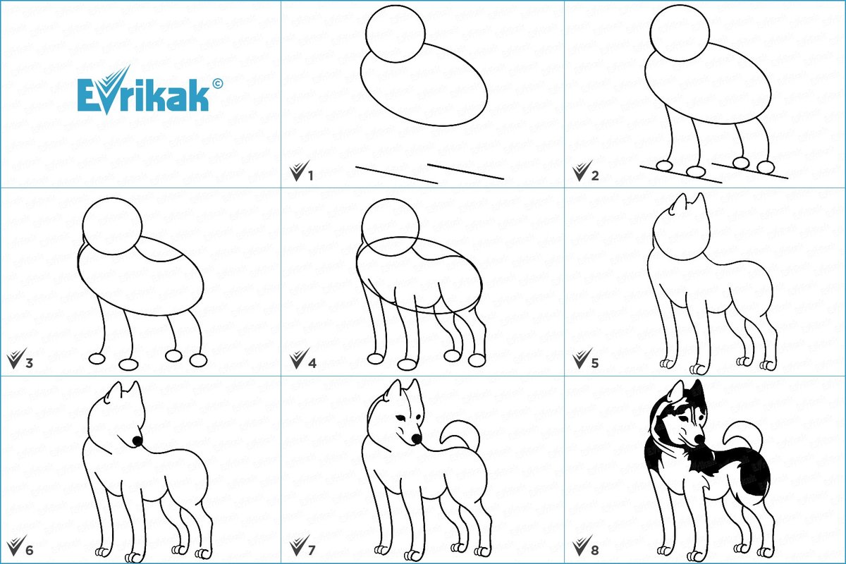 Рисунок собаки карандашом 2 класс