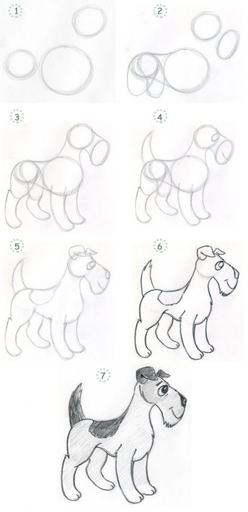 Нарисовать собаку карандашом