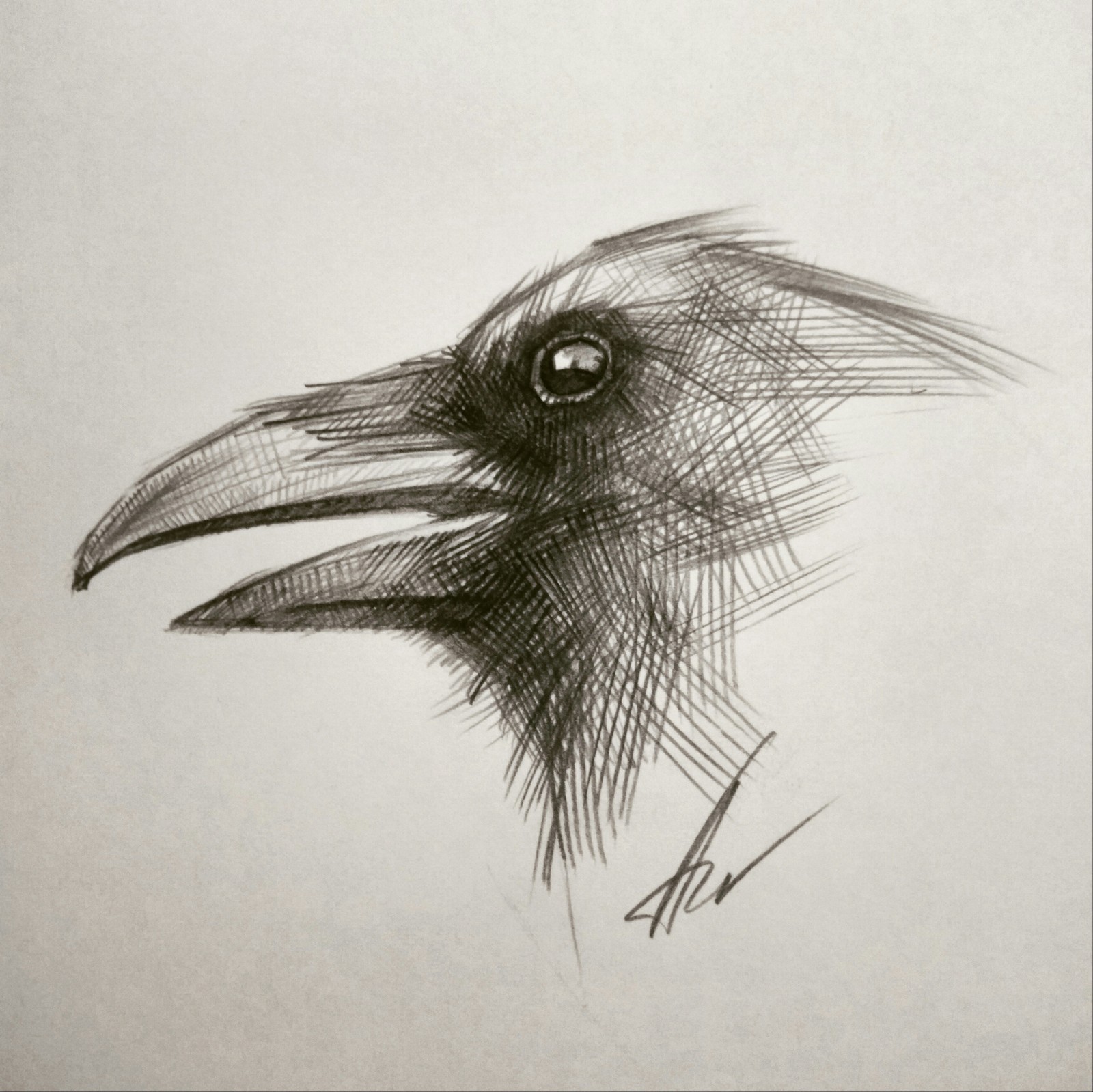 Ворона рисунок легкий