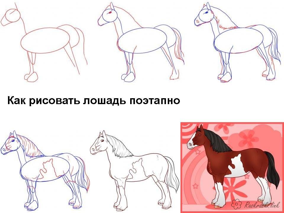 Нарисовать лошадь для детей поэтапно