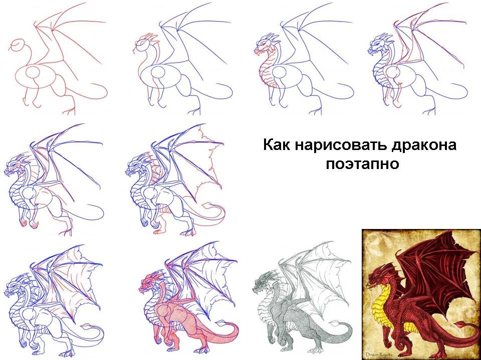 Рисунок дракона поэтапно