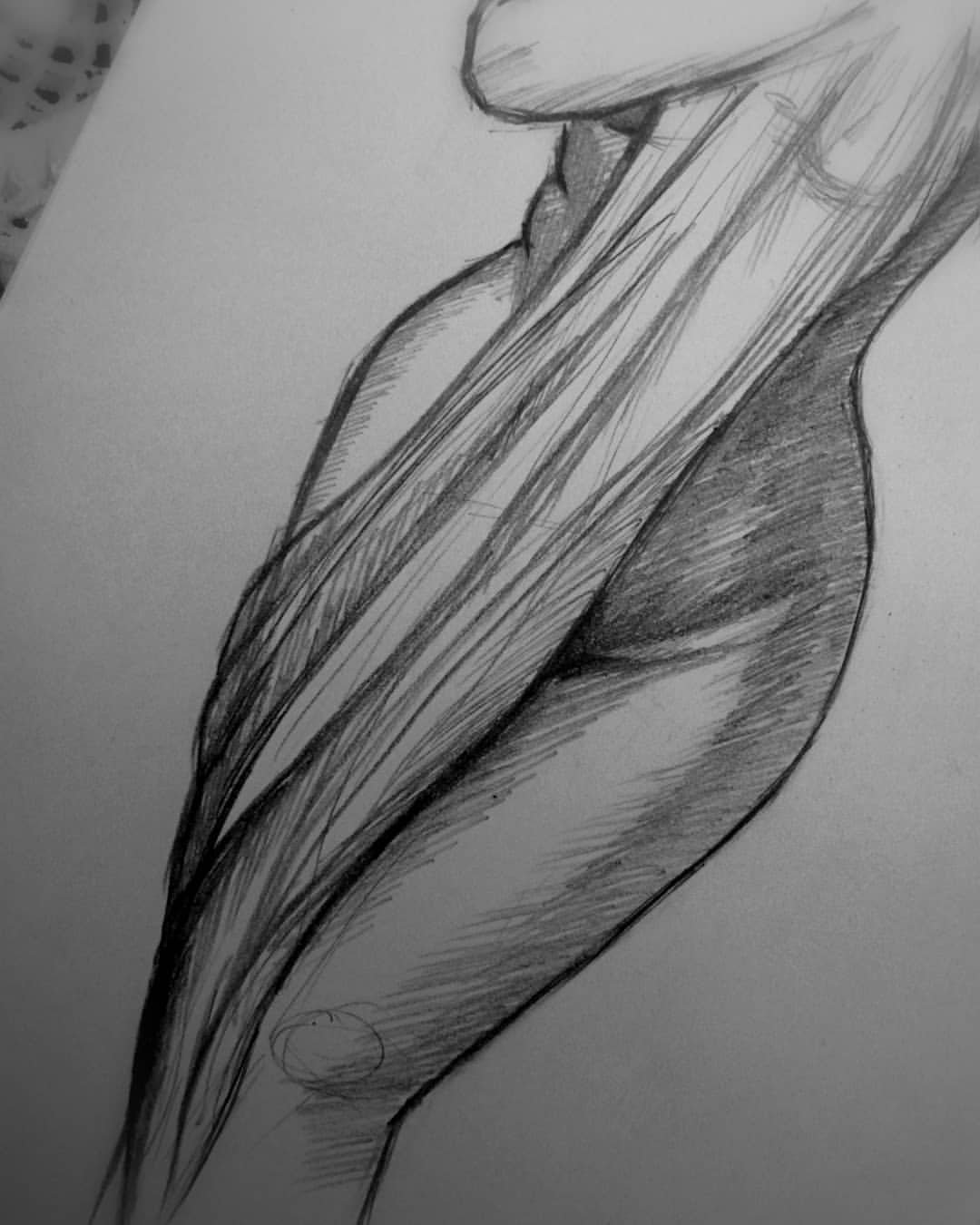 Женское тело рисунок карандашом (49 фото) » Рисунки для срисовки и не только