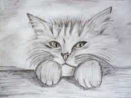 Фото нарисованного кота ( фото) - фото - картинки и рисунки: скачать бесплатно