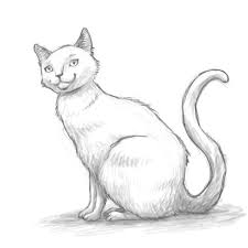 Диван с рисунком кошки
