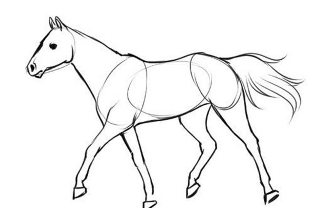 Рисунки лошади карандашом для детей поэтапно (61 фото) 🔥 Прикольные  картинки и юмор
