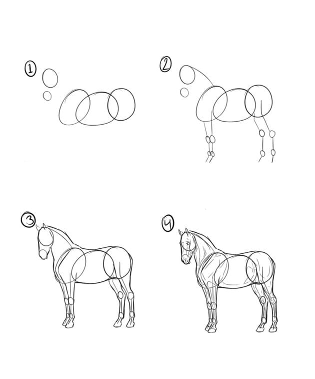 Поэтапное рисование лошади для детей