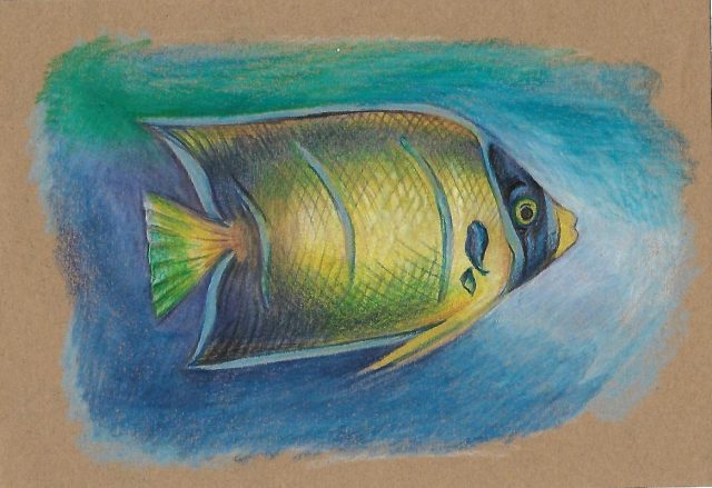 Рисунки цветными карандашами на крафт-бумаге (30 фотографий)