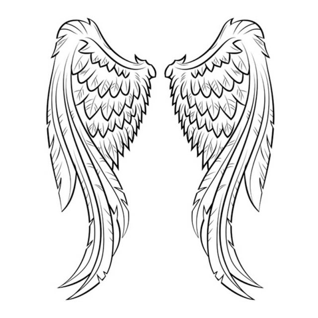 Как нарисовать КРЫЛЬЯ АНГЕЛА/How to draw ANGEL WINGS