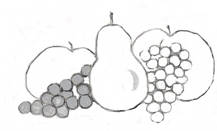 Фрукты рисунок карандашом для срисовки