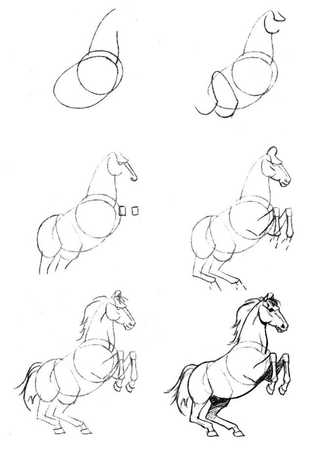 Рисунки лошадей для срисовки легкие и красивые